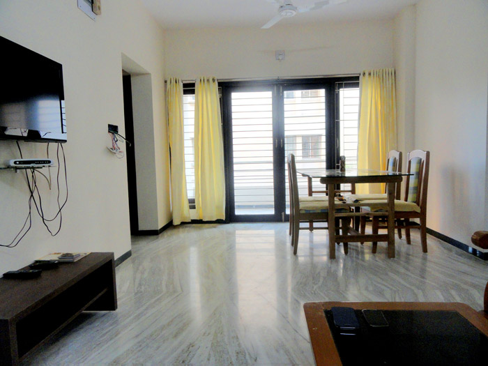 Quisque venenatis mi at