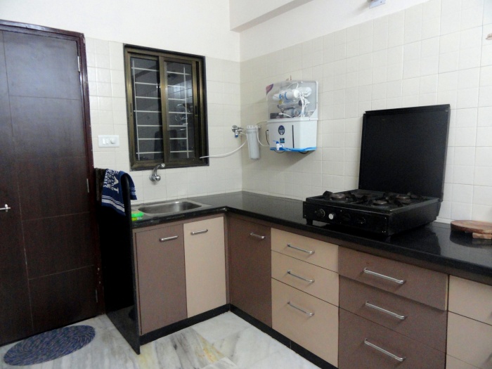 Quisque venenatis mi at