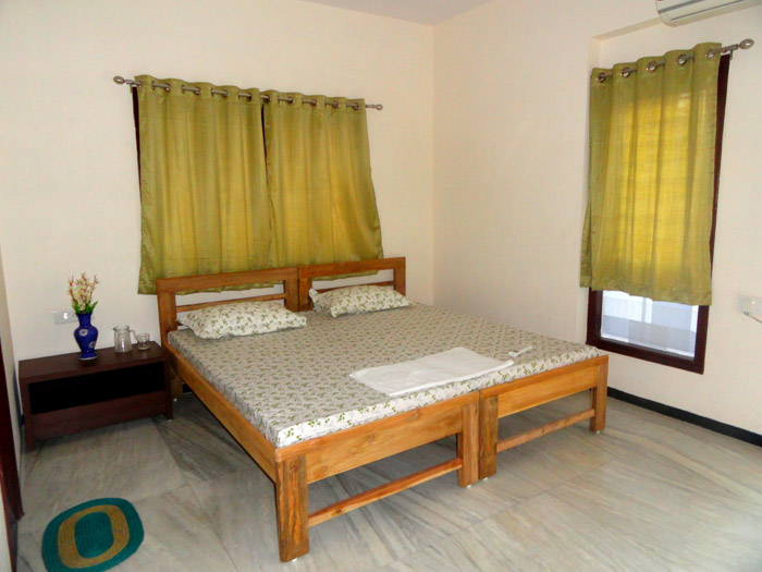 Quisque venenatis mi at